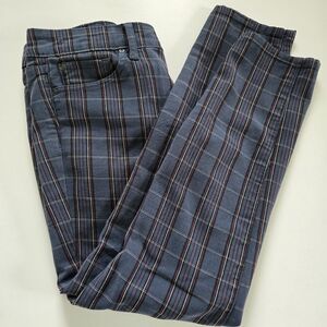 GAP 1969 Preppy Plaid Always Skinny Pants Size 29 Blue Gray Eclectic Street FLAW